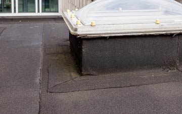 disadvantages of Bridgeholm Green flat roofs