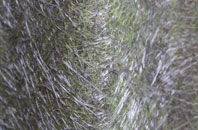 Bridgeholm Green fibreglass roof work